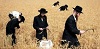 En Israël, les orthodoxes ont le vent en poupe